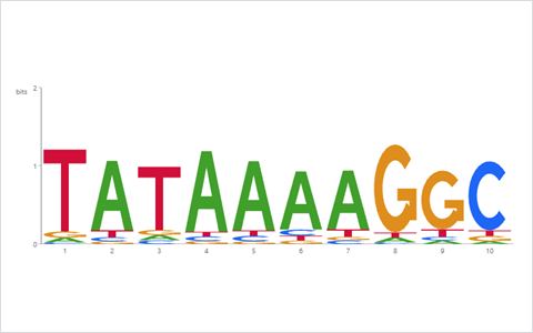 Sequence Logo preview